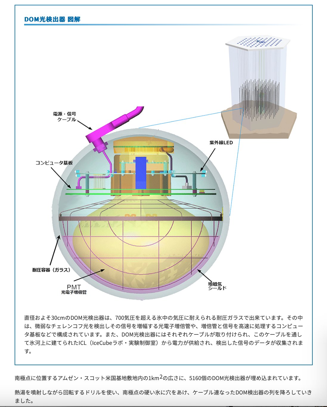 DOM光検出器